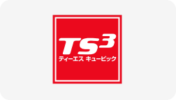 TS3